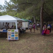 Festival de yoga de verano