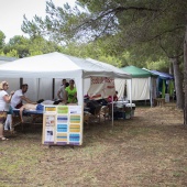 Festival de yoga de verano