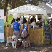 Festival de yoga de verano