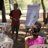 Festival de yoga de verano