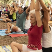 Festival de yoga de verano