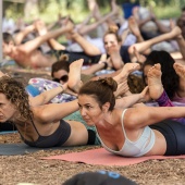 Festival de yoga de verano