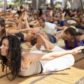 Festival de yoga de verano