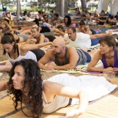 Festival de yoga de verano