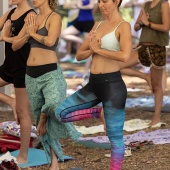 Festival de yoga de verano