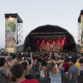 Rototom Sunsplash