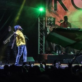 Rototom Sunsplash