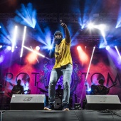 Rototom Sunsplash