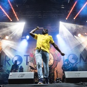 Rototom Sunsplash