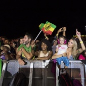 Rototom Sunsplash