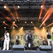 Rototom Sunsplash