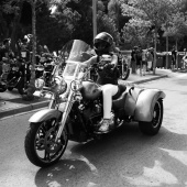 Ruta turística Harleys