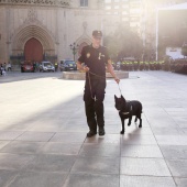 Día de la Policía Local