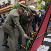 Día de la Subdelegación de Defensa