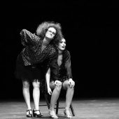 II Nit del Circ Valencià
