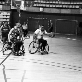 Cocemfe Castelló BSR - CD Granada Integra