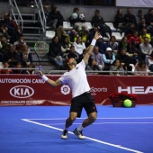 Fiesta del tenis español