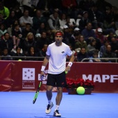 Fiesta del tenis español