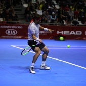 Fiesta del tenis español