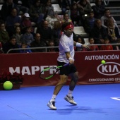 Fiesta del tenis español