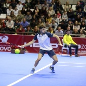 Fiesta del tenis español