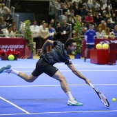 Fiesta del tenis español