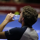 Fiesta del tenis español