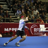 Fiesta del tenis español