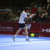 Fiesta del tenis español