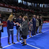 Fiesta del tenis español