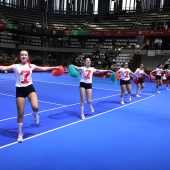 Fiesta del tenis español