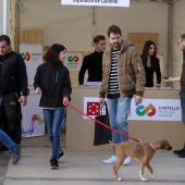 Mercat de la Trufa i Productes Nadalencs