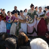 Festividad de San Antonio