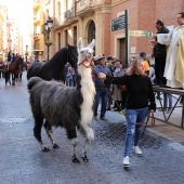 Festividad de San Antonio