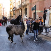 Festividad de San Antonio