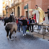 Festividad de San Antonio