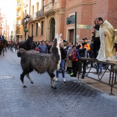 Festividad de San Antonio