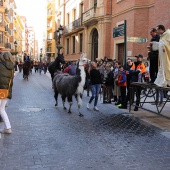 Festividad de San Antonio