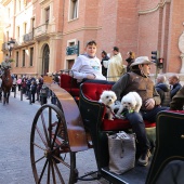 Festividad de San Antonio