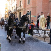 Festividad de San Antonio