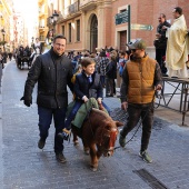 Festividad de San Antonio