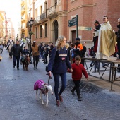 Festividad de San Antonio