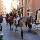 Festividad de San Antonio