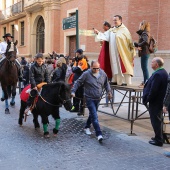 Festividad de San Antonio