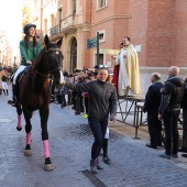 Festividad de San Antonio