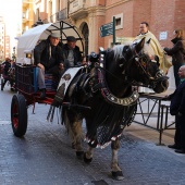 Festividad de San Antonio