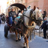 Festividad de San Antonio