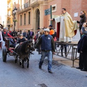 Festividad de San Antonio