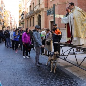 Festividad de San Antonio