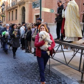 Festividad de San Antonio